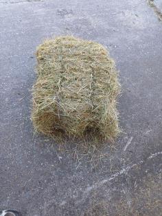 Heu HD Bündel Kuh Ziege Schaf Pferd Hase