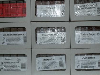 Fischfutter, Frostfutter, Teichfutter, Aquarium, Fisch