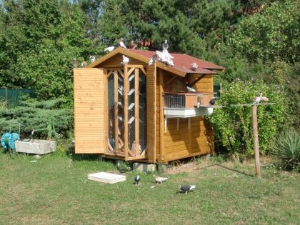 Hobbyzüchter