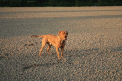 Bruno Sucht nette sie