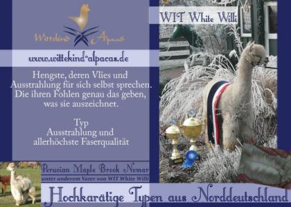 Alpaka - Herdbuchzucht Stuten und Hengste