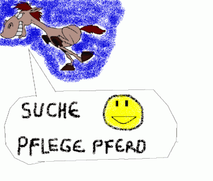 SUCHE PFLEGEPFERD IN VORARLBERG D