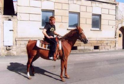 Verkaufe Deutsche Reitponystute