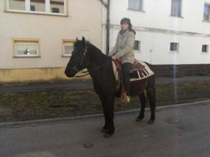 Deutsches Reitpony