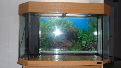 Aquarium komplett, Panorama 80 von Juwel