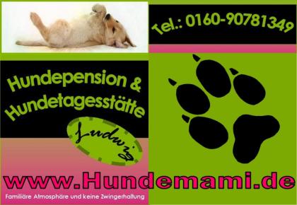 Kleine, aber feine Hundepension ohne Zwinger mit 100 Familienanschluss