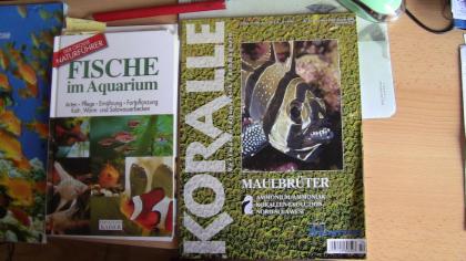 28 Koralle Zeitschriften v. Ende 2021 - 2021 Fische im Aquarium