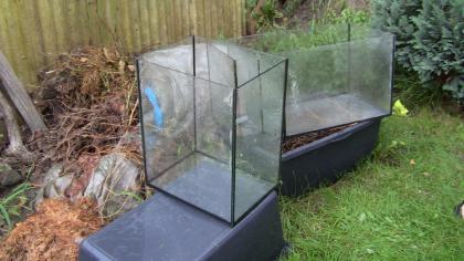Meerwasseraquarium Filterbecken Nachfüllbecken