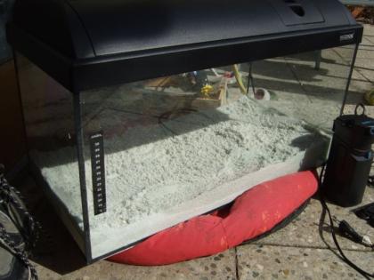 Aquarium 54l, 60x30x30, mit Zubehör