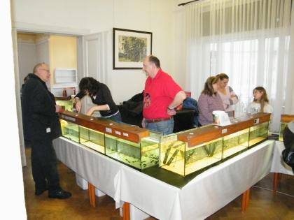 ACHTUNG Am 10. 12. 11 Zierfisch-/Pflanzenbörse in Sondershausen