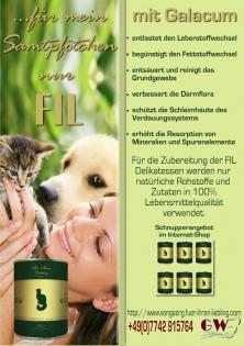 NEU Katzenfutter und Hundefutter mit Galacum. und Ihren Liebling geht s gut.