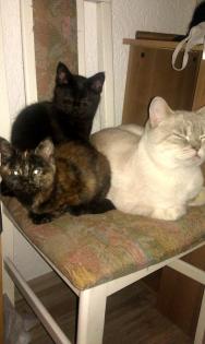 Unsere Mama will, dass wir ausziehen. -