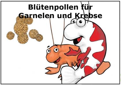 Blütenpollen Zusatzfutter für Garnelen, Schnecken, Krebse und Jungfisch 50g