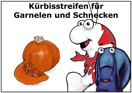 15g Hokkaido - Kürbis - Chips, Futter für Garnelen, Schnecken und Krebse