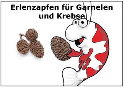 Erlenzapfen 100 Stück gegen Algen und Verpilzungen im Aquarium