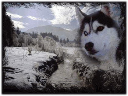 Husky-Camp-Eifel, Therapie Abenteuer-Camp Sucht Sponsoren