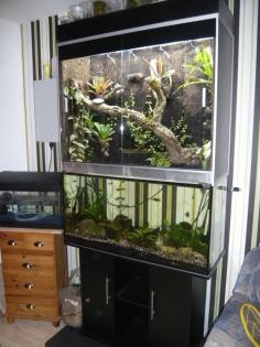 Verkaufe Aquaterrarium Paludarium
