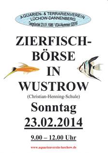Hallo Aquariener Zieerfischbörse