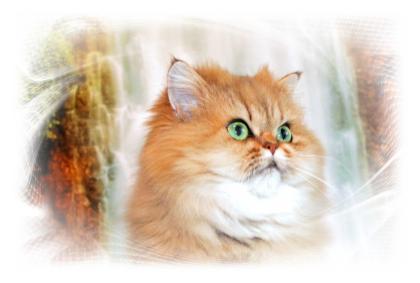 Persermädchen mit Nase
