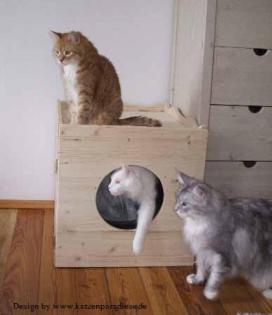 Tolle Wurfkisten und Katzentoiletten Umbauten und vieles mehr.