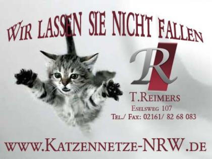 Katzennetz