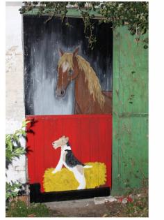 Hundeurlaub Ferienhaus