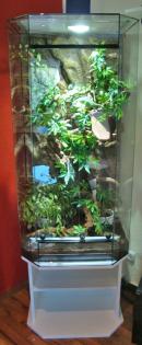 Terrarien zu fairen Preisen, TOP-Qualität sofort auf Lager