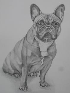 Zauberhafte detailgetreue Hundeportraits. die man sich leisten kann