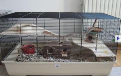 XXL Kleintierstall / Nagerstall für Hamster/Mäuse