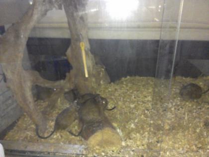 10 Kleine Muntermacher -