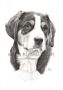 Tierportraits nach Foto