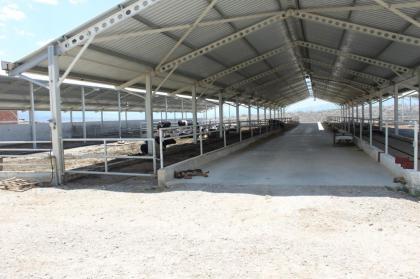 Türkei Milchfarm mit EU Standard, Rinderzucht zu verkaufen