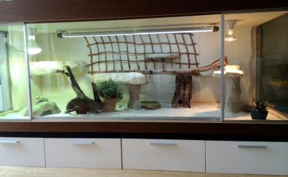 TERRARIUM 200 x 80 x 80 cm