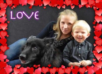 Lackschwarzer Altdeutscher Schäferhund Welpe Hündin gesucht