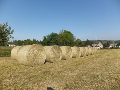 Heu Heurundballen Futter Pferd Kaninchen Schaf Ziege Esel Rind