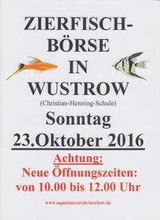 Hallo Aquarianer, Zierfischbörse Bitte vormerken Neu 10. 00-12. 00Uhr