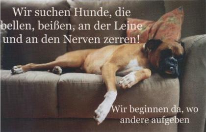 Mobile Hundeschule Pforzheim das Original seit 2021