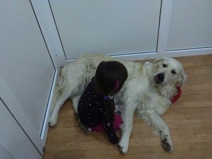 Sally sucht ein neues Zuhause