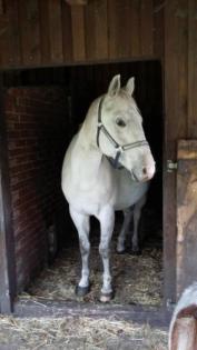 Kleiner Onkel sucht neues Zuhause