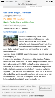 Suche Deutsches Reitpony mix Amigo