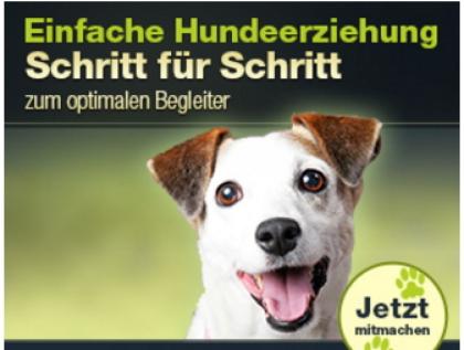 Online Hundetraining