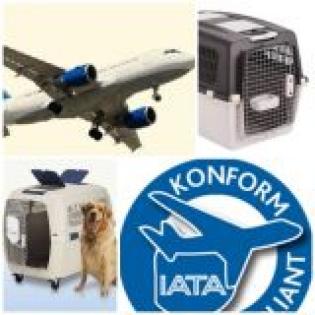 Hunde und Flugboxen nach IATA Vorschrift