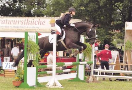 Suche Pferd zum reiten und lieb haben