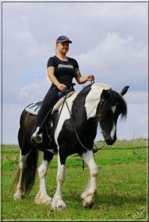 Tinker Stute