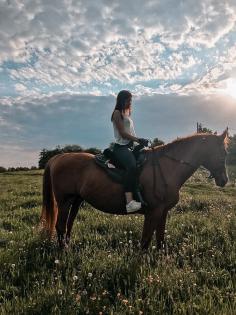 Ich suche eine Reitbeteiligung, Reiter sucht Pferd