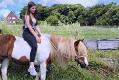 Reitbeteiligung gesucht Reiterin sucht Pferd