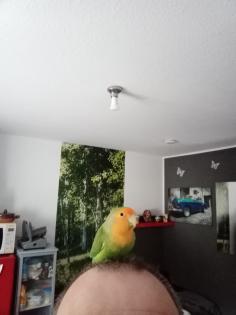Unzertrennliche