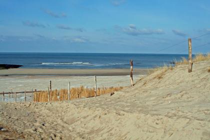 Hundeurlaub in Holland Hundestrand