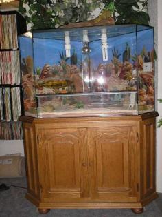 Neuwertiges Terrarium
