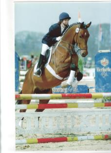 10-Jähriger Oldenburger, Cordial Medoc-Bedora/Landfrieden